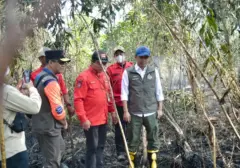 Penegakan Hukum Karhutla di Kalsel: 42 Kasus Diproses, 9 Tersangka Ditetapkan