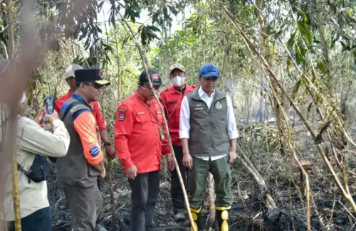 Penegakan Hukum Karhutla di Kalsel: 42 Kasus Diproses, 9 Tersangka Ditetapkan