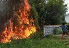 Dua Pelajar Belitung Timur Diamankan Terkait Video Viral Pembakaran Lahan