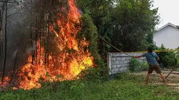 Dua Pelajar Belitung Timur Diamankan Terkait Video Viral Pembakaran Lahan
