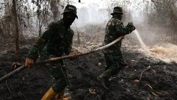 Bahaya Tersembunyi: Api Gambut Bisa Mengintai Berbulan-bulan Pasca Kebakaran Terlihat