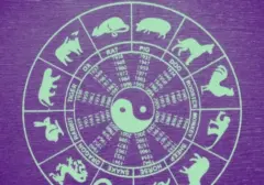 Prediksi Shio Monyet, Ayam, Anjing, dan Babi untuk 25 Agustus 2026