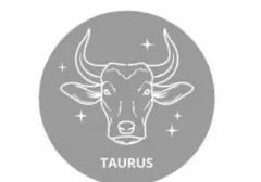 Taurus: Stabilitas Finansial dan Dinamika Asmara di 25 Agustus 2026