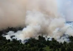 Klaim Penurunan Hotspot di Kalbar, Kemenhut Akui Asap Masih Menyelimuti