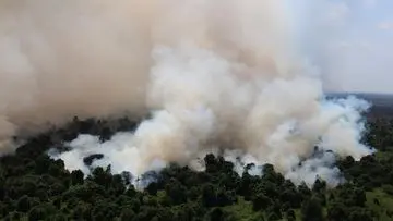 Klaim Penurunan Hotspot di Kalbar, Kemenhut Akui Asap Masih Menyelimuti