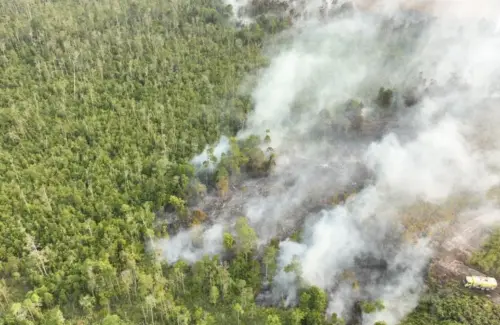 Aktivitas Manusia Jadi Biang Kerok Kebakaran Hutan di Indonesia, El Nino Perparah Kondisi