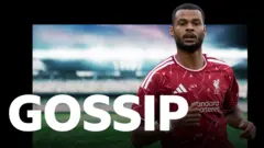 Manchester City Bergabung dalam Perburuan Cody Gakpo