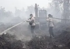 Enam Perusahaan Dikenai Sanksi oleh Kemenhut Akibat Kebakaran Hutan dan Lahan
