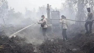 Enam Perusahaan Dikenai Sanksi oleh Kemenhut Akibat Kebakaran Hutan dan Lahan