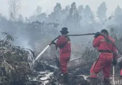 Pantau Karhutla: Google Maps dan Cara Lain Deteksi Dini Kebakaran Hutan
