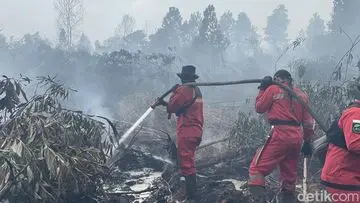 Pantau Karhutla: Google Maps dan Cara Lain Deteksi Dini Kebakaran Hutan