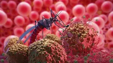 Indonesia Perkuat Deteksi Dini Dengue untuk Menekan Angka Kematian
