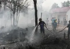 Enam Perusahaan Kalimantan Terkena Sanksi Administrasi Akibat Kebakaran Hutan Luas