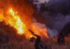 Kebakaran Melanda Bukit Sentong TNBTS Lumajang, Titik Api Terdeteksi Sejak 3 Juli