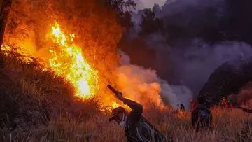 Kebakaran Melanda Bukit Sentong TNBTS Lumajang, Titik Api Terdeteksi Sejak 3 Juli