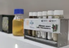 Minyak Sawit Dominasi Pasokan Nabati Global 60% di 2050