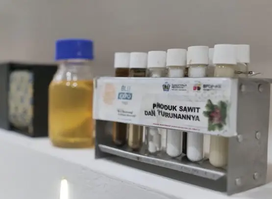Minyak Sawit Dominasi Pasokan Nabati Global 60% di 2050