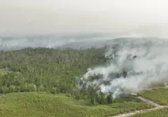 Polri Tetapkan 72 Tersangka Terkait Kebakaran Hutan dan Lahan
