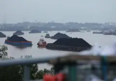 Harga Batu Bara Anjlok Pasca Demonstrasi Anti-Trump, Rentetan Kenaikan Terhenti
