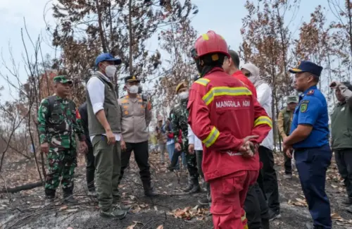 Menteri LHK Pastikan Penanganan Karhutla Berau Lindungi Habitat Orangutan Kalimantan