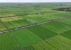 Mendesak Revitalisasi Kementerian Percepatan Pembangunan KTI untuk Atasi Kesenjangan Ekonomi
