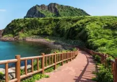 Pulau Jeju Geger: Penemuan 4 Jenazah Ungkap Skandal Dugaan Penutupan Ratusan Laporan Orang Hilang