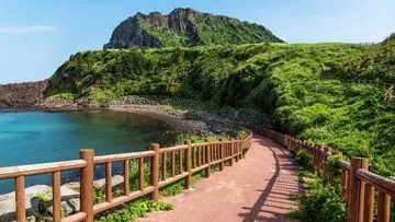 Pulau Jeju Geger: Penemuan 4 Jenazah Ungkap Skandal Dugaan Penutupan Ratusan Laporan Orang Hilang