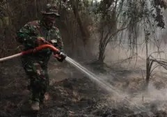 Presiden Prabowo Dorong Inovasi Pemadam Karhutla Berbasis Tepung Singkong