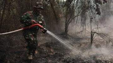 Presiden Prabowo Dorong Inovasi Pemadam Karhutla Berbasis Tepung Singkong