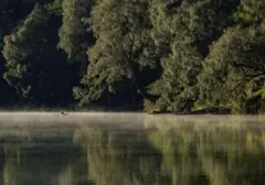 Karhutla Paksa Pendakian Semeru Ditutup, 170 Pendaki Dievakuasi dari Ranu Kumbolo