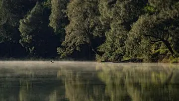 Karhutla Paksa Pendakian Semeru Ditutup, 170 Pendaki Dievakuasi dari Ranu Kumbolo
