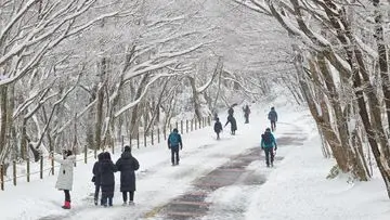 Pulau Jeju: Dari Pesona Drakor Hingga Penemuan Mayat yang Menggemparkan