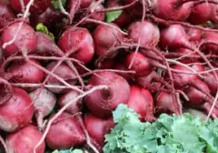 Jaga Kesehatan Paru-paru dengan 7 Pilihan Makanan Unggulan