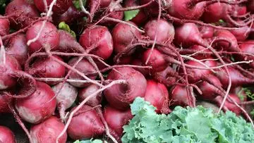 Jaga Kesehatan Paru-paru dengan 7 Pilihan Makanan Unggulan