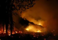 Kabut Asap Selimuti HUT RI ke-81, Cita Kemerdekaan Terancam Krisis Ekologis