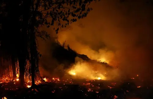 Kabut Asap Selimuti HUT RI ke-81, Cita Kemerdekaan Terancam Krisis Ekologis