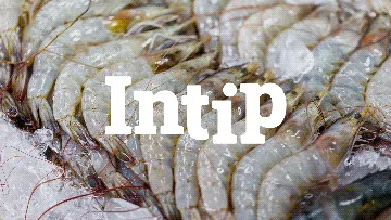 Panduan Lengkap MPASI: Sumber Protein Hewani dan Nabati untuk Tumbuh Kembang Optimal Anak