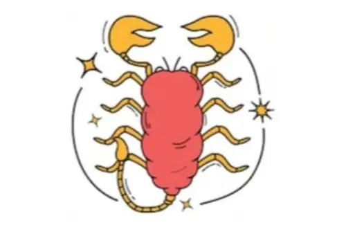 Horoskop Scorpio 29 Agustus 2026: Proyeksi Cinta, Karier, Kesehatan, dan Finansial