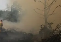 Jepang Dukung Indonesia Atasi Kebakaran Hutan Kalimantan dengan Tiga Helikopter