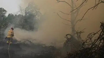 Jepang Dukung Indonesia Atasi Kebakaran Hutan Kalimantan dengan Tiga Helikopter