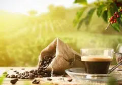 Ampas Kopi: Limbah Berharga dari Budaya Ngopi yang Semakin Populer