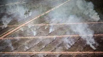 36 Titik Panas Karhutla Terdeteksi di Papua Barat Berdasarkan Pantauan Satelit