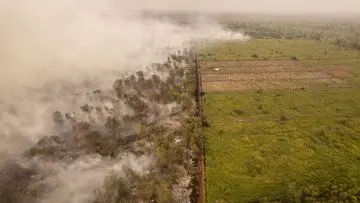 10 Tersangka Karhutla di Jambi, Lahan Terbakar Capai 17,25 Hektare