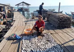 BRI Fasilitasi UMKM Ikan Kering Sorong Tumbuh Lewat Program Klasterku Hidupku