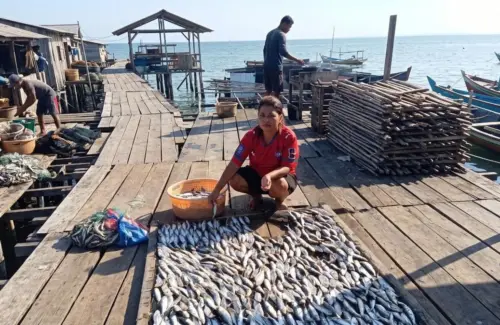 BRI Fasilitasi UMKM Ikan Kering Sorong Tumbuh Lewat Program Klasterku Hidupku