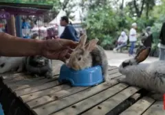 FLONA 2026 Dibuka di Lapangan Banteng, Akses Gratis untuk Pengunjung
