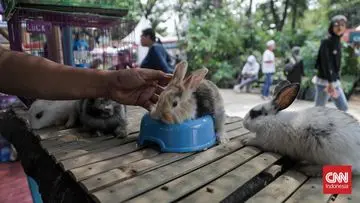 FLONA 2026 Dibuka di Lapangan Banteng, Akses Gratis untuk Pengunjung