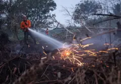 Titik Panas Karhutla Meningkat, KemenLHK Pantau Ribuan Lokasi