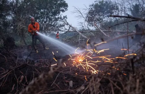 Titik Panas Karhutla Meningkat, KemenLHK Pantau Ribuan Lokasi