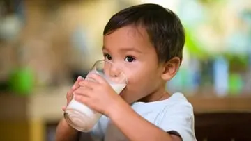 Alternatif Susu Sapi untuk Anak: Pilihan Bergizi dengan Pertimbangan Khusus